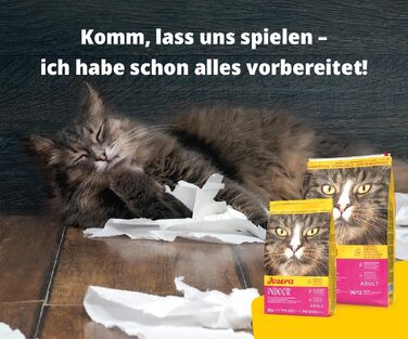 Сухий корм для котів Josera Indoor з птицею та рибою для дорослих, 10 кг