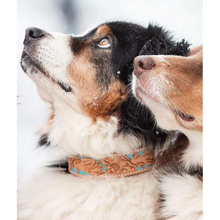 Обідній шкіряний нашийник для собак Mariano, бежевий, блакитний, коричневий, з візерунком квітів, розмір 24-28,5 см