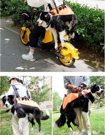 Рюкзак для собак L&Y Jewelry Hundetrage: переноска для собак вагою 15-40 кг, регульований, для собак з артритом та проблемами суглобів