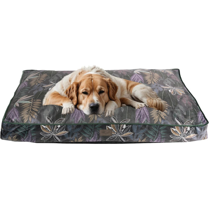 Аттіас Hundekissen: Лежанка для собак, зручна та стильна, з неслизьким покриттям (M, Max)