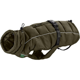 колір: олив