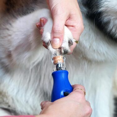 Dremel 7350: Шліфувальник для кігтів домашніх тварин (собаки, коти) з акумулятором 3.6V, USB-кабель, 2 насадки