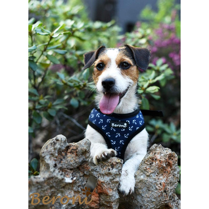 Шлейка для собак Softgeschirr, шлейка для грудей Anker Maritim, регульована, для відпочинку, літо (L (37-42см), M)