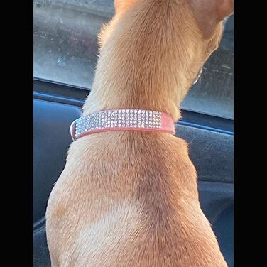 Нашийник та поводок для собак ETOPARS з паєтками та кристалами, рожевий (XS2)