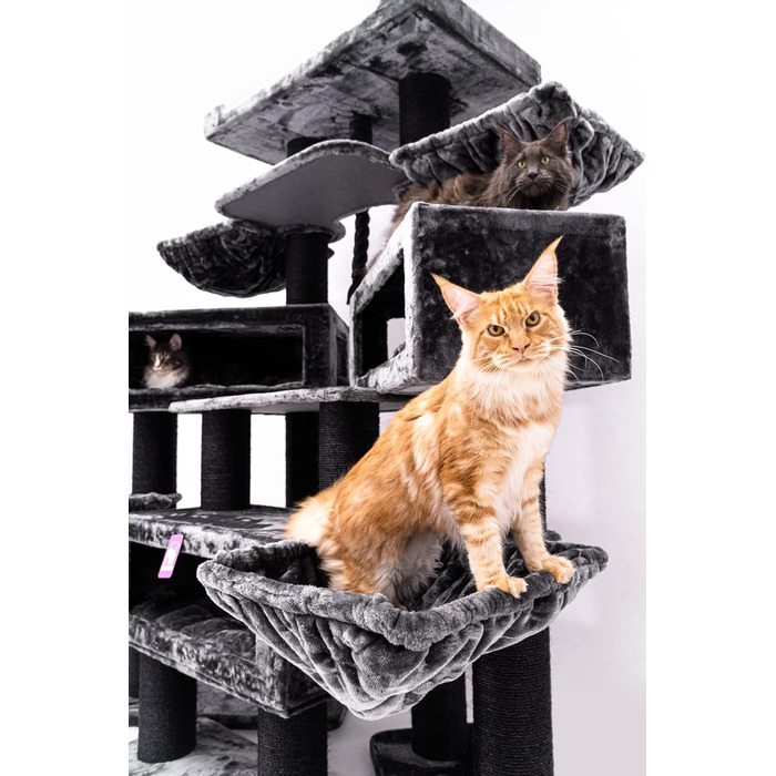Дряпка для котів Petrebels Maine Coon XXL Alley 200 см, преміум, для великих котів, чорна