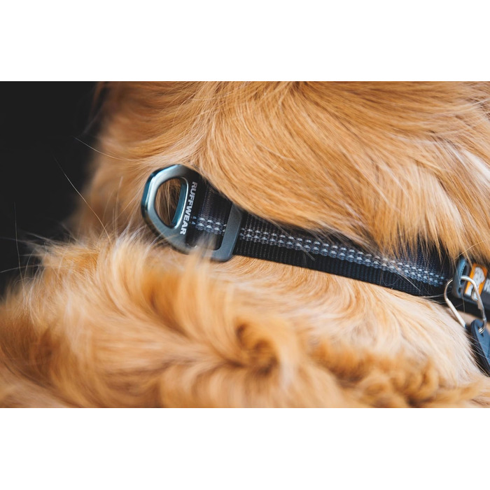 Собачий нашийник RUFFWEAR Top Rope, середній розмір, міцний і зручний, для прогулянок, базальтово-сірий, M (36–51 см)
