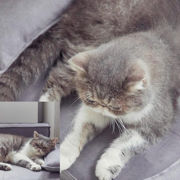 Ортопедичне ліжко для собак HomeConic середнього розміру - м'яке диван-ліжко з Memory Foam, зручне місце для сну, ліжко для собак та котів, сірого кольору