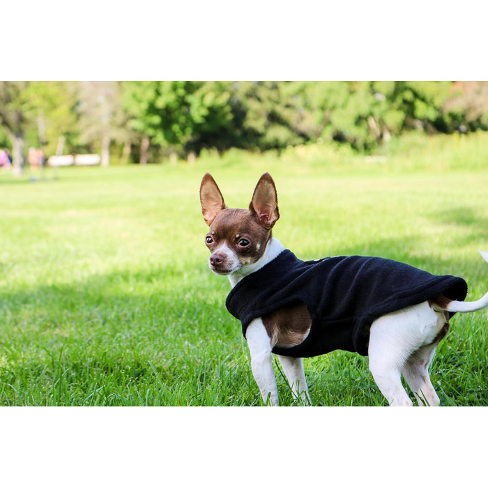 Тепла жилетка JACKO & CO для собак та котів з кільцем для повідка, чорна, розмір XXL (10,8-15,9кг)