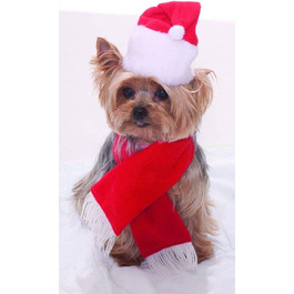 Костюм Санти для домашніх тварин Forum, розмір універсальний