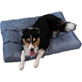 колір: сірий