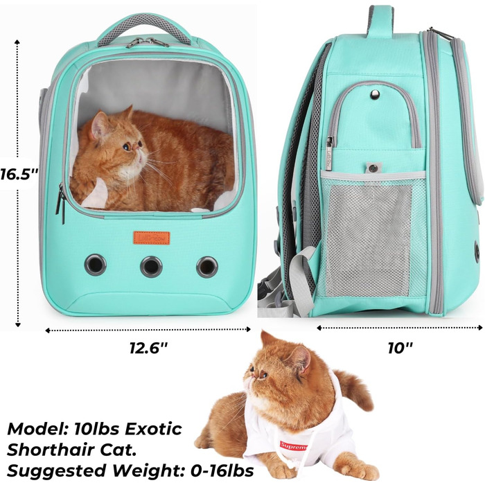 Рюкзак для кота та маленького собаки Lollimeow - зелений, для подорожей літаком, ідеальний для кошенят та цуценят