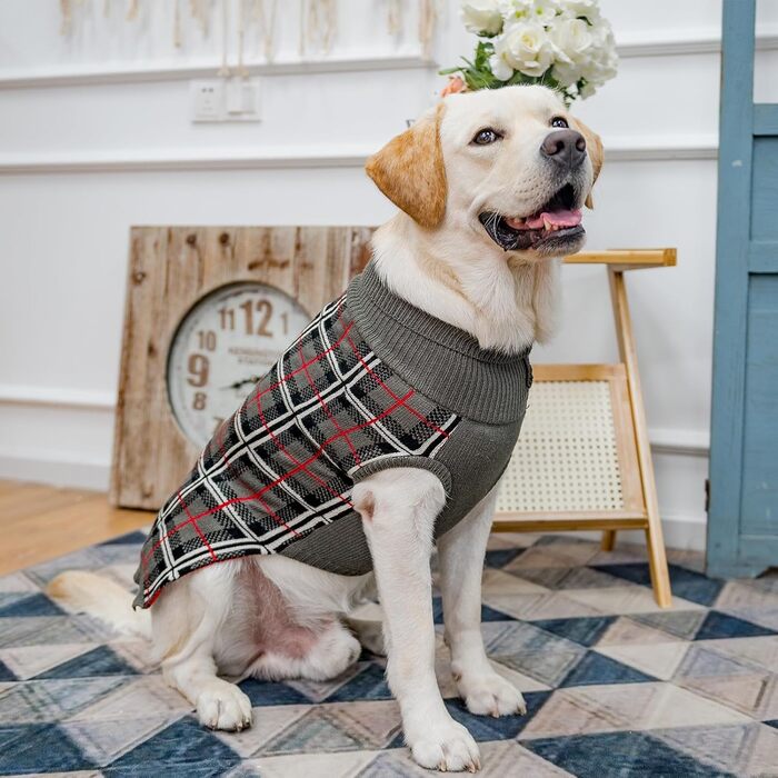 Пуловери для собак PUPTECK: теплі, класичні, для будь-якої породи та віку – ідеально для зими та відпочинку