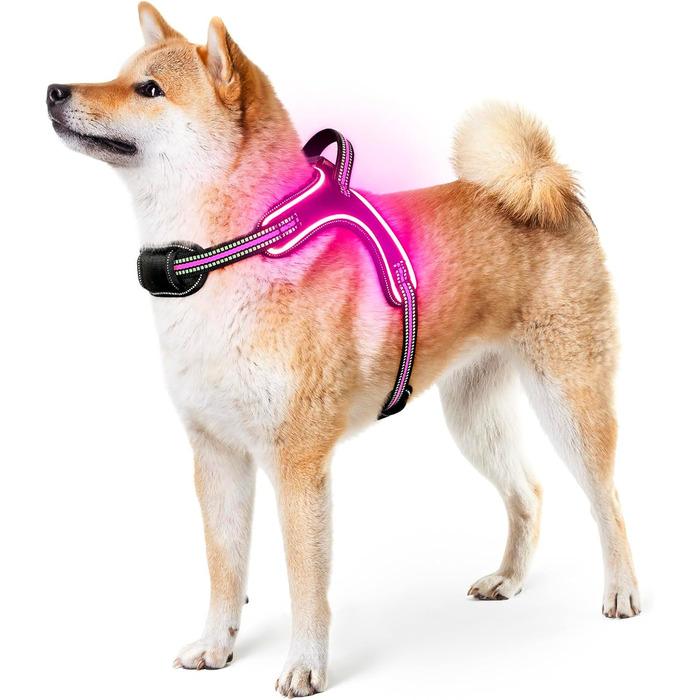 Світлодіодне шлейка для собак з підсвічуванням, зарядний пристрій, шлейка з ручкою, світловідбиваюча жилетка для безпеки вночі, для середніх та великих собак (Рожевий, M)