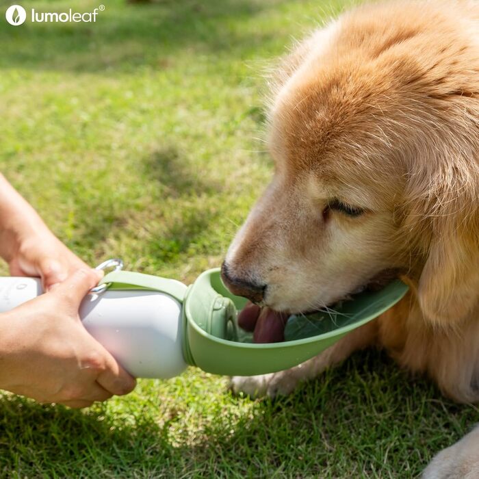 LumoLeaf Ізольована термофляга для собак, 800 мл - Зберігає воду холодною або теплою годинами, міцна та портативна для подорожей, широке горлечко для зручного наповнення та миття (Зелена, 800 мл)