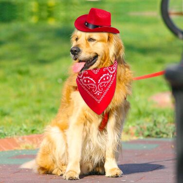 Ковбойський комплект для тварин: капелюх та бандана для собак та котів. Ідеально для святкування дня народження в мексиканському стилі та повсякденного носіння. Червоний, однотонний (Getaway Solids)