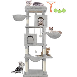 колір: синєгрань