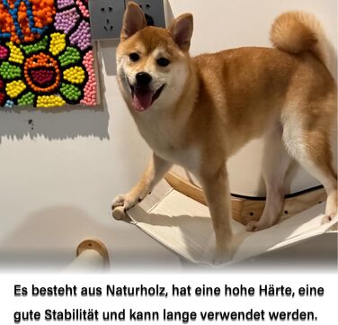 Кішка Wandregale (стійка) Katze Wandhängematte (гамак) Katze Wandbett (ліжко) Katze Wandmöbel (меблі) для котів - для лазіння та відпочинку