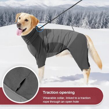Водонепроникний зимовий теплий одяг для собак середніх та маленьких порід, високий комір, для прогулянок, халуп, кемпінгу (Сірий, XL)