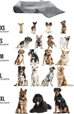 Корзина для собак Normani, ліжко для собак + ковдра, ліжко для домашніх тварин, знімний, пральний до 95°C, підходить для котів та собак, з екологічно чистих матеріалів, сірого кольору, розмір 60x80 см