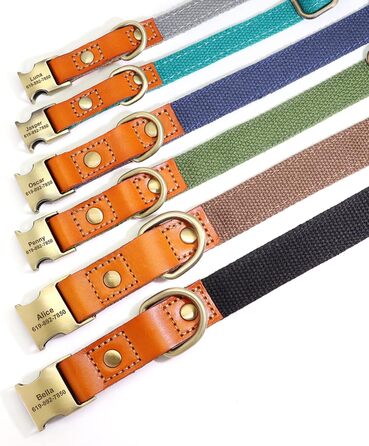 Персоналізований набір повідка та нашийника для собак з нейлону та шкіри, блакитний, S