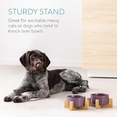 Набір мисок для котів та собак Navaris з підставкою Babus - 2 миски з кераміки, фіолетовий матовий (S)