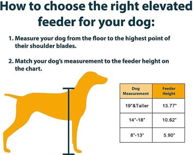Підвищена годівниця для собак Funkeen з подвійними мисками з нержавіючої сталі, для середніх собак, об'єм 1 кварту