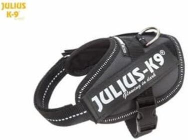 Шлейка Julius K-9 IDC Powergeschirre Anthrazitgrau з індивідуальним написом, для собак маленьких, середніх та великих порід, 16IDC+CUSTOMP-ANT