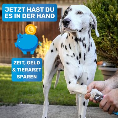 Кігтеріз BluePet KrallenSchön з захистом і пилкою для собак, котів та дрібних тварин, розмір M-L, рожевий