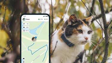 GPS-трекер Tractive CAT Mini для котів, темно-синій