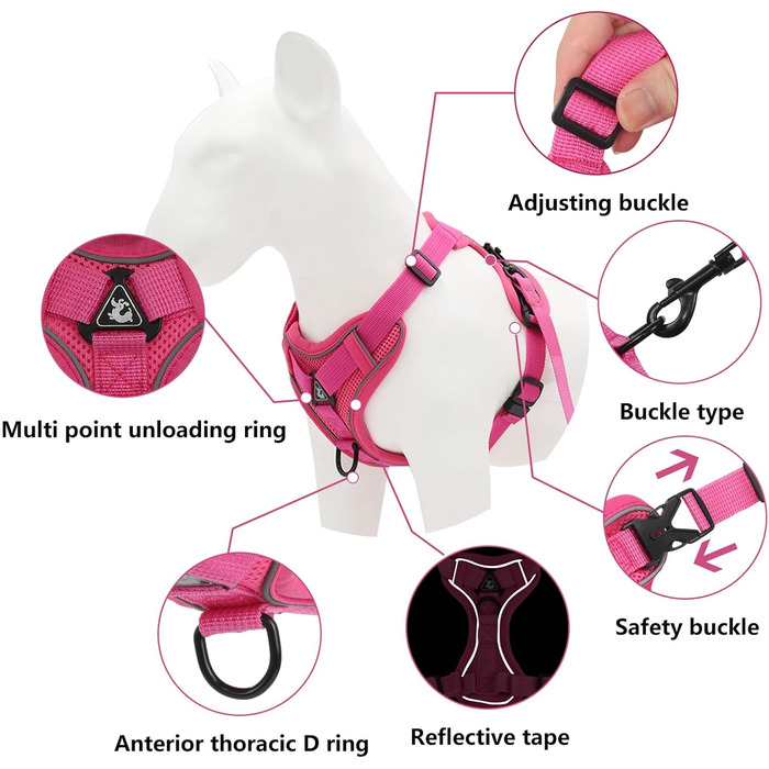 Катячий сміх з повідком, автоматичний котячий поводок з дзвінком, розтяжний котячий поводок з дзвінком та повідком для кошенят, собак (рожевий, M)