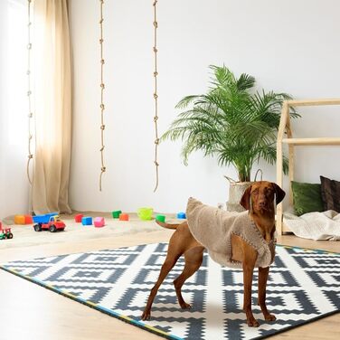 Зручна собача жилетка для маленьких та середніх собак. Тепла жилетка для домашніх тварин з бавовняної суміші, однотонна, з простим дизайном. Зимовий одяг та фотореквізит.