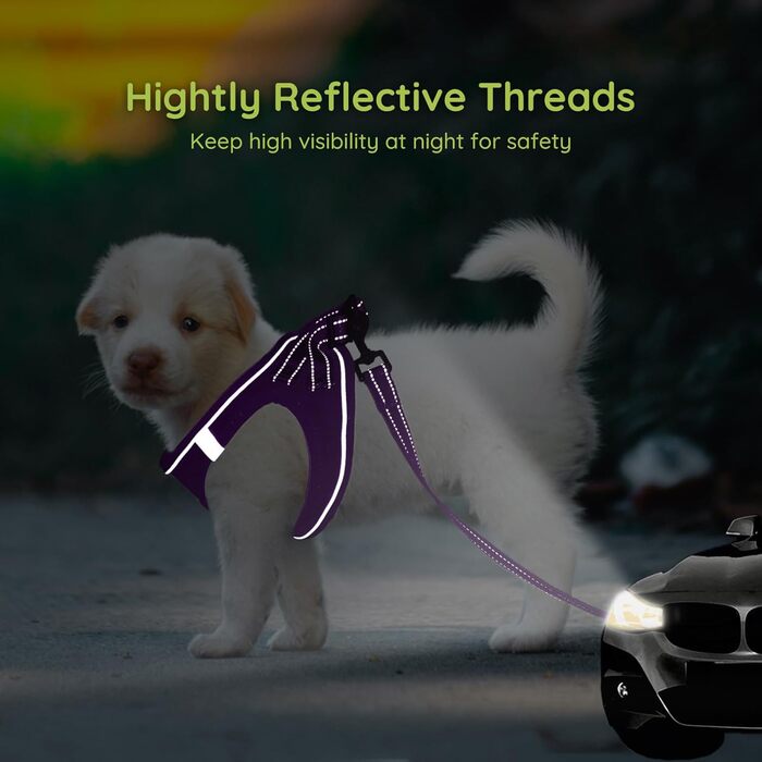 Шлейка для собак BELLA & PAL для маленьких собак з повідком, Step-in шлейка з Air Mesh, анти-тяга, світловідбиваюча, дихаюча, для цуценят, котяча шлейка, XS (XXS (28-30см обхват грудей), фіолетова)