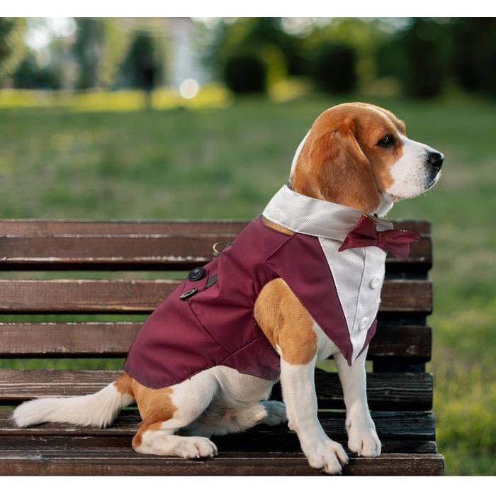 Костюм для собаки 