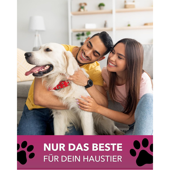 PETGARD Станція годування для собак з нержавіючої сталі - набір мисок - годівниця для собак Преміум класу - 61 x 35 x 28 см - об'єм 2 x 1500 мл