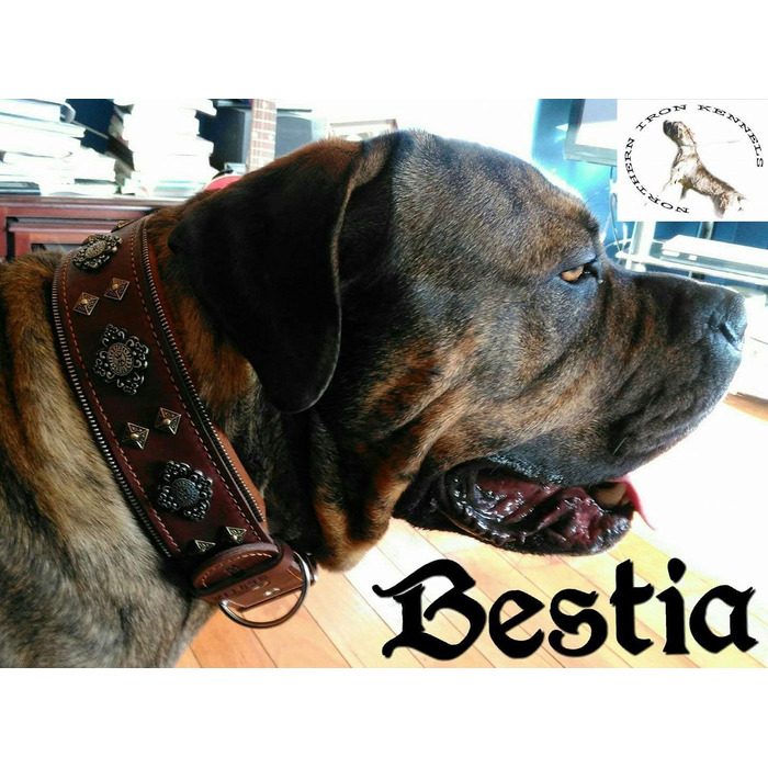 Bestia™ Азтек нашийник для великих собак з натуральної шкіри, м'яка підкладка, ширина 6,3 см, оригінальний дизайн