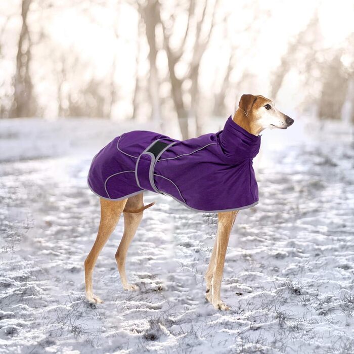 Водонепроникний зимовий пуловер для грейхаундів Geyecete: теплий, регульований, з відбиваючими елементами, для середніх та великих собак (XS-XXL, фіолетовий)