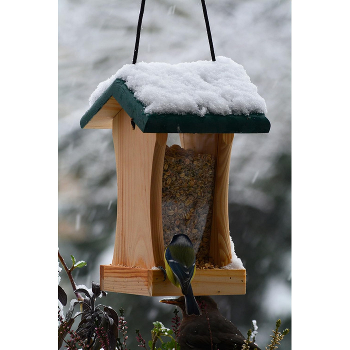 Годівниця для птахів Dobar® 90040FSCe Silo - годівничка з масиву дерева для саду, тераси, балкону - 22 x 25 x 28 см, зелена