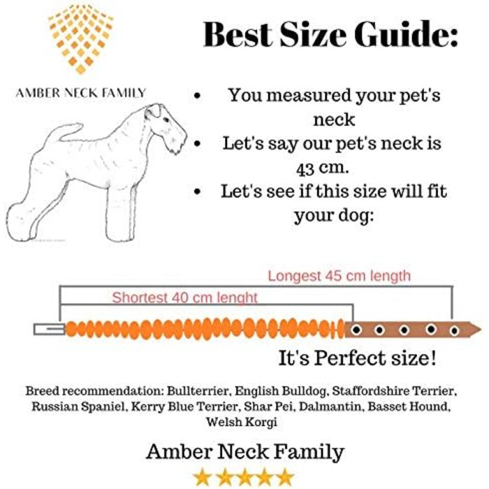 Нашийник для собак з бурштину Amber Neck, ручна робота, натуральний балтійський бурштин, справжня шкіра, регульований, подарункова упаковка, 40-45 см