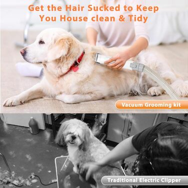 Пылесос для собак и кошек с щеткой, 16000 Па, тихий, удаляет 99.99% шерсти, набор из 6 инструментов для ухода, контейнер 1.5л