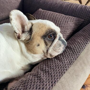 4L Textil Teo: М'яке ліжко для собак, корзина для собак середнього розміру, знімний та пральний чохол (100x80 см, Коричневий)