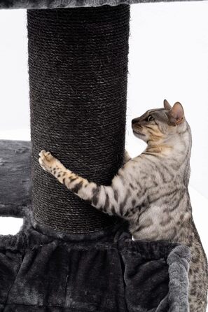 Когтеточка для великих котів Petrebels Maine Coon, 117 см, преміум-якість, стовпи Ø20 см, чорна