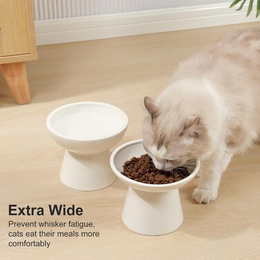Набір мисок для котів YauYik (2 шт.) – керамічні миски для корму та води, підняті, широкі, білі