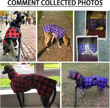 Водонепроникний теплий зимовий дощовик для собак породи Віндгаунд/Лурчер/Вхіпет, з флісовою підкладкою, червоний, розмір S (довжина спини 51-53 см)