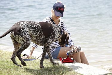 DOOG - Набір для прогулянок з собакою 3-в-1: пляшка для води, ізолятор та миска – блакитний, 8,5 x 3 x 3 см