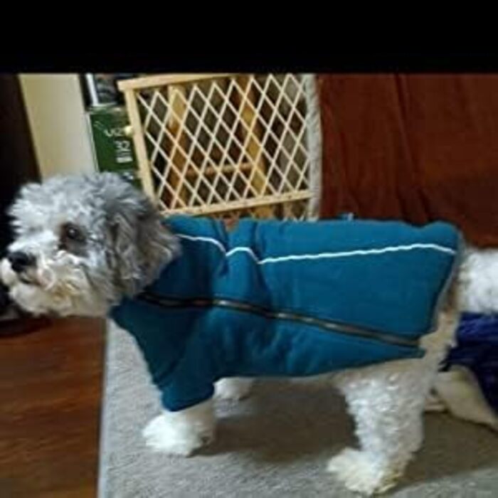 Теплий зимовий костюм для собак BoxDog з поларфлісу, блакитний | для маленьких собак, тепла піджака для собак