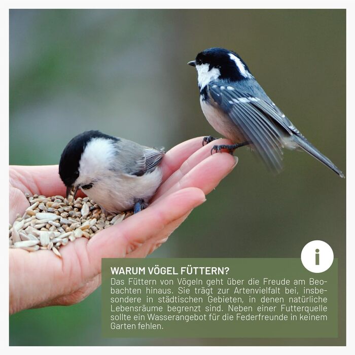 Годівниця для птахів Wildtier Liebe, зелена - з нержавіючої сталі, 52 см