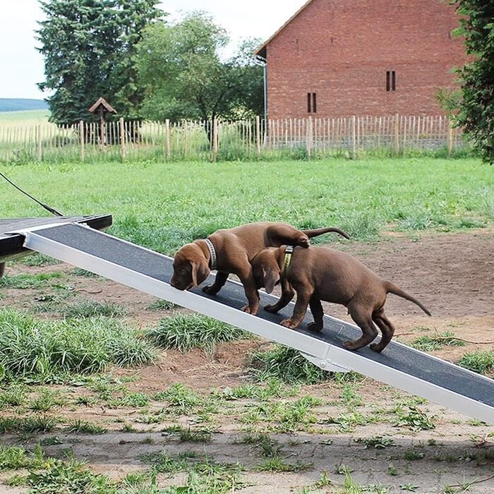 Рампа для собак Petigi: пандус у багажник авто, складна, алюмінієва, 244 см
