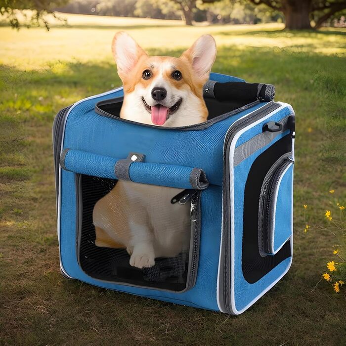 Кошик для собак на велосипед, регульована сумка, вентиляція для транспортування, прогулянок, поїздок, кемпінгу, велоспорту, піших прогулянок