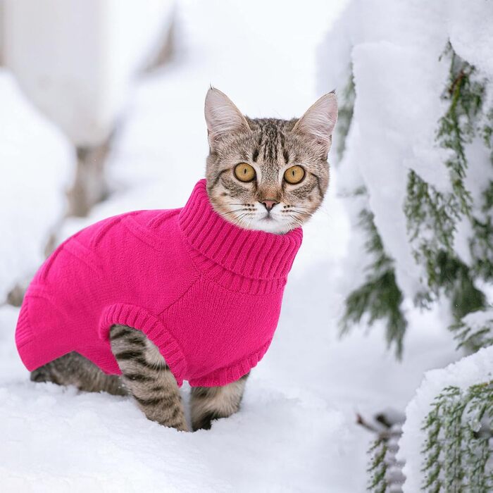 Пуловер для собак середніх порід Queenmore, м'який та теплий, фіолетовий, розмір M