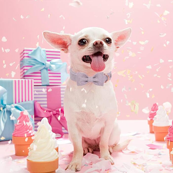 Нашийник для собак на Різдво Aring Pet, бавовняний нашийник з бантом, милий дизайн, з металевою застібкою, для великих собак (XL, лавандовий)